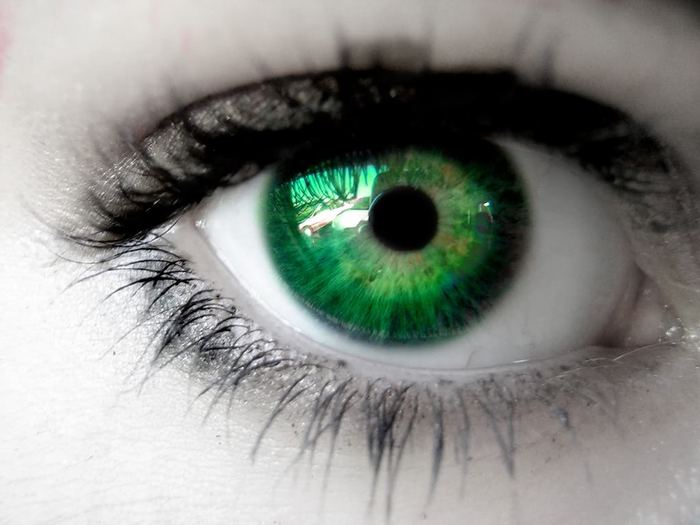 Green_Eyes_by_catsastrofic - 0-aaa About me