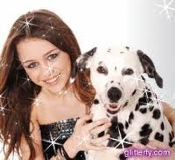 Miley cu catelusul; 6
