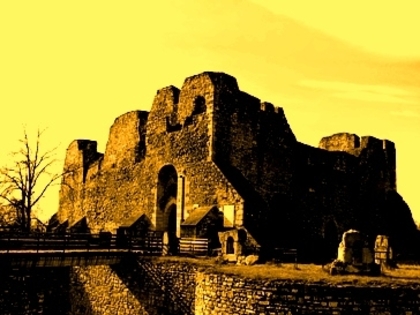 cetatea-neamtului
