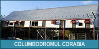 www.columbodromulcorabia.weebly.com - contact