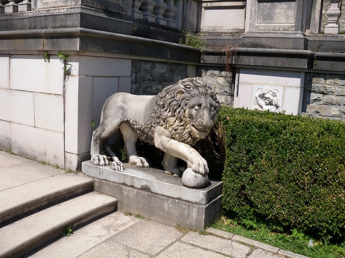 pisi si ghemul... - de peste tot