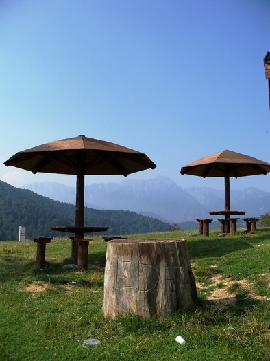 foisor - de peste tot