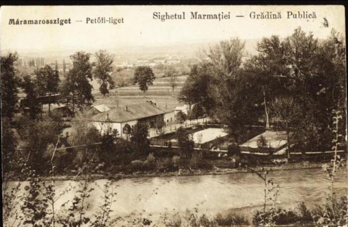 Petofi-liget