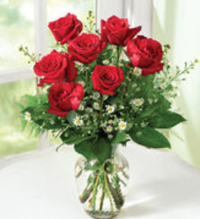 25329329_JGXEBDTZK - flori