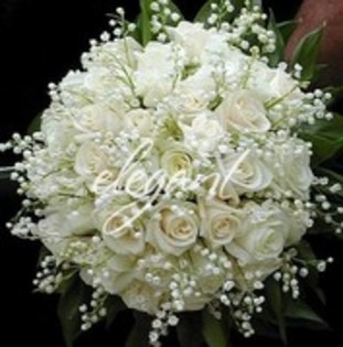 25329433_SACVKUGQO - flori