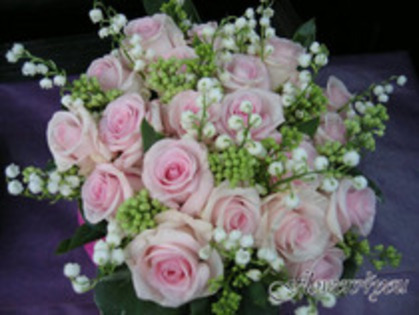 25329439_YNGFZKSXX - flori