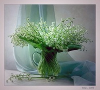 25329454_ISJCRVMEN - flori