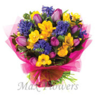 25329783_TDUMKSSJA - flori