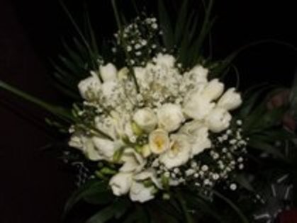 25329794_TFAIACEHJ - flori
