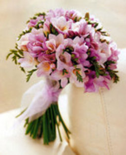 25329801_TXCEDHYJH - flori