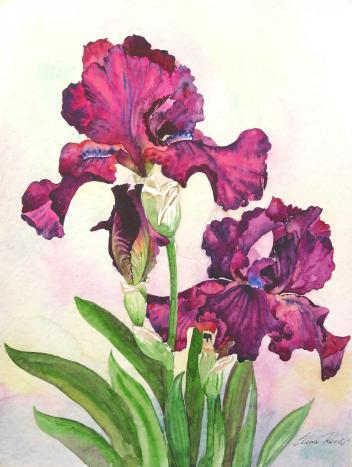 25364499_FFLPKUPTE - flori