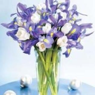 25364989_DTNRUJDVS - flori