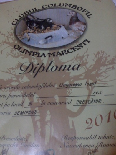 22-11-10_1915 - cupe si diplome