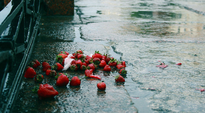 Strawberry_fields_forever_by_AlvisHamilton - aAa Capsuniciiii aAa