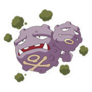 Weezing - Album Pokemon