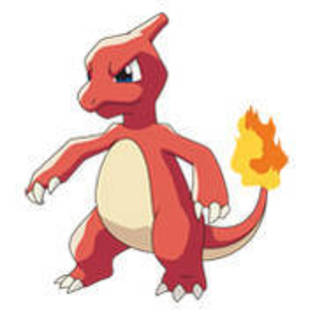 Charmeleon - Album Pokemon