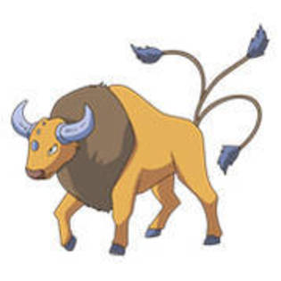 Tauros - Album Pokemon