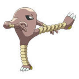 Hitmonlee - Album Pokemon