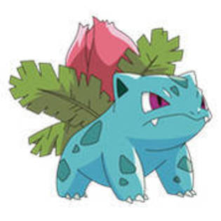 Ivysaur - Album Pokemon