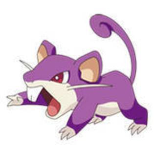 Ratata - Album Pokemon