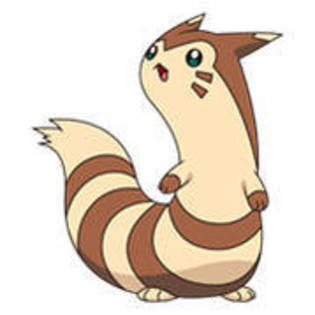 Furret - Album Pokemon