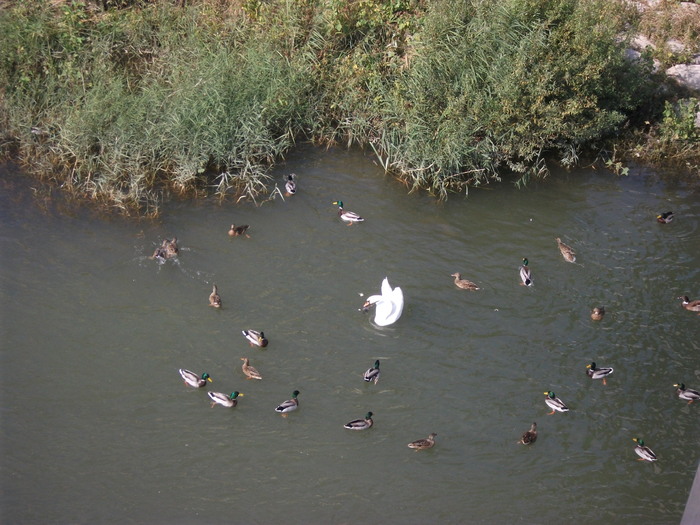 Picture 343
