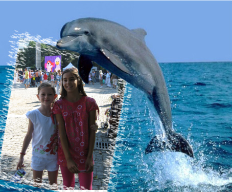 1285067817406_frametoy