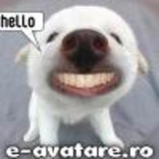 catel 4