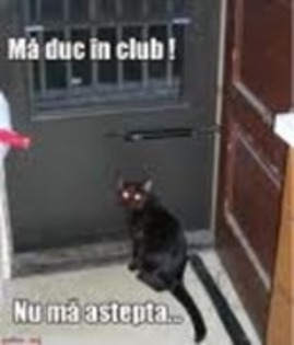 mata1