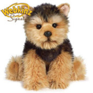 webkinz - poze cu webkinz