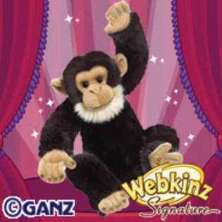 preview_signature_chimpanzee - poze cu webkinz