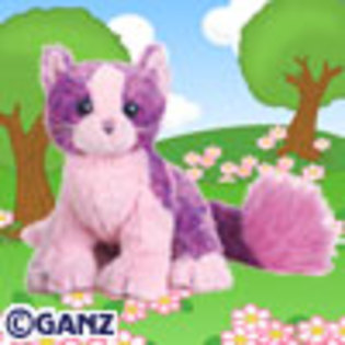 pom_pom_kitty - poze cu webkinz