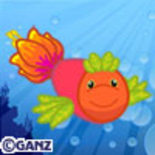 blossom_fish - poze cu webkinz