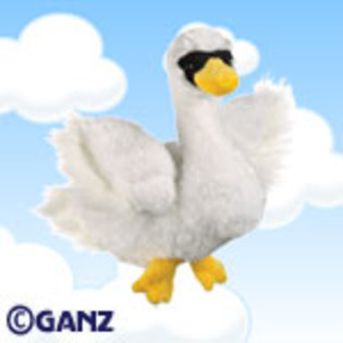 daisy1 - poze cu webkinz