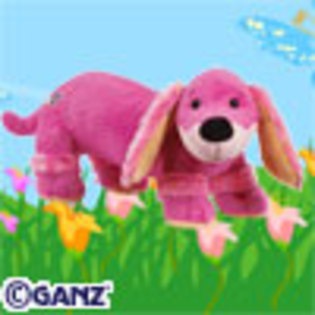 6 - poze cu webkinz