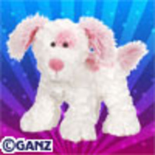 5 - poze cu webkinz