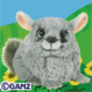 3 - poze cu webkinz