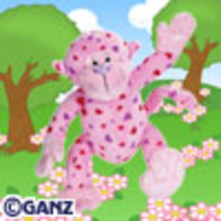 love_monkey - poze cu webkinz