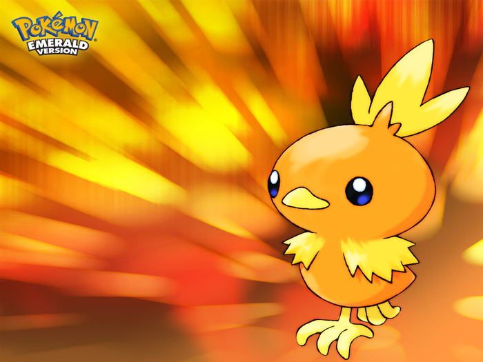 Torchic Wallpaper