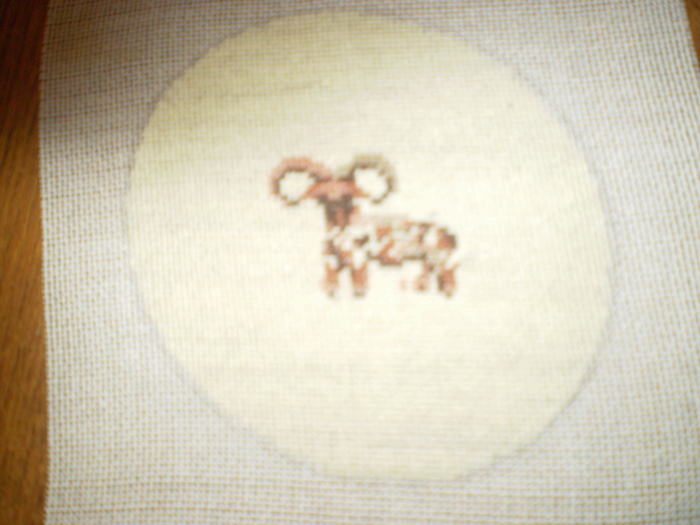 Picture 461; zodiac:berbec
