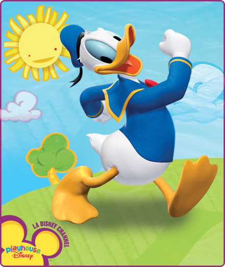 detaliu_donald - poze