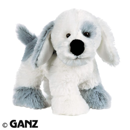 misty_puppy__85156_zoom - poze