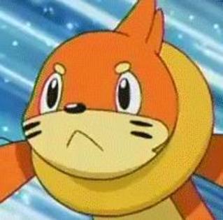 Buizel:Ceee????!!!! - X Poveste Pokemon 2