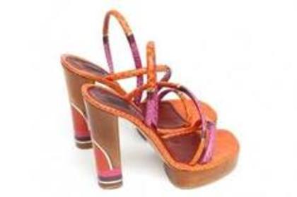 imagesCAPP0Q8L - moda 2010-2011
