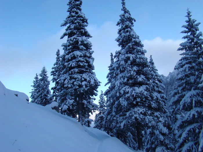 DSC06914 - Malaiesti Decembrie 2010