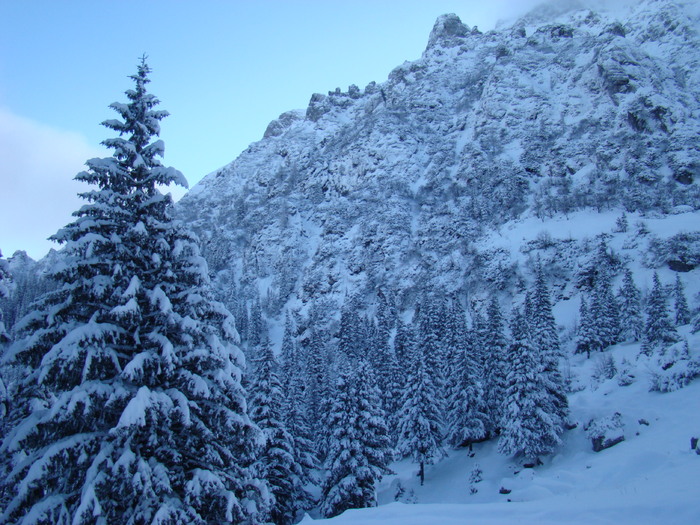 DSC06916 - Malaiesti Decembrie 2010