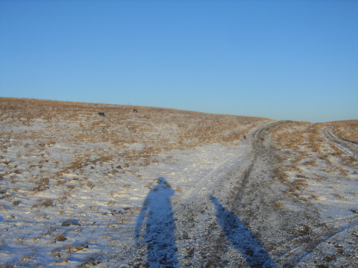  - plimbare iarna 2010-2011