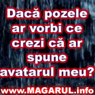 daca pozele ar vorbi ce crezi ca ar spune avatarul meu