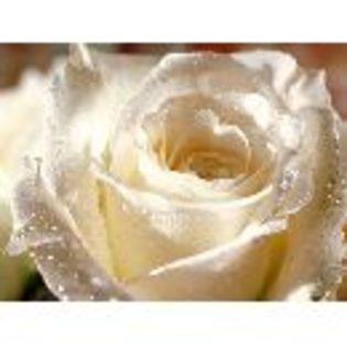 img - Lovely 2