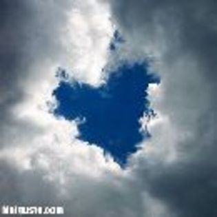 img12826818670292